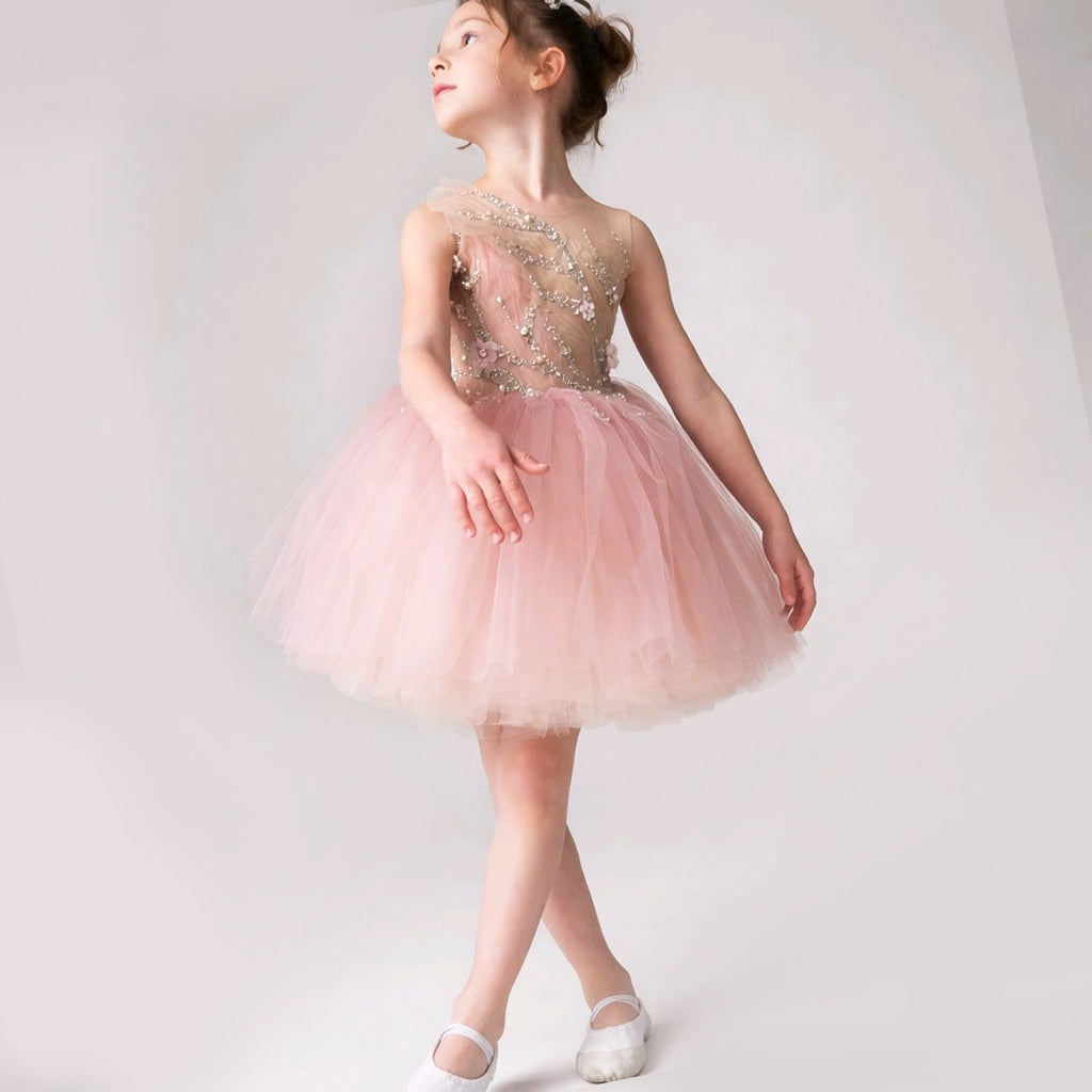 BLUSH SILVER BALERINA FLOWERGIRL DRESS