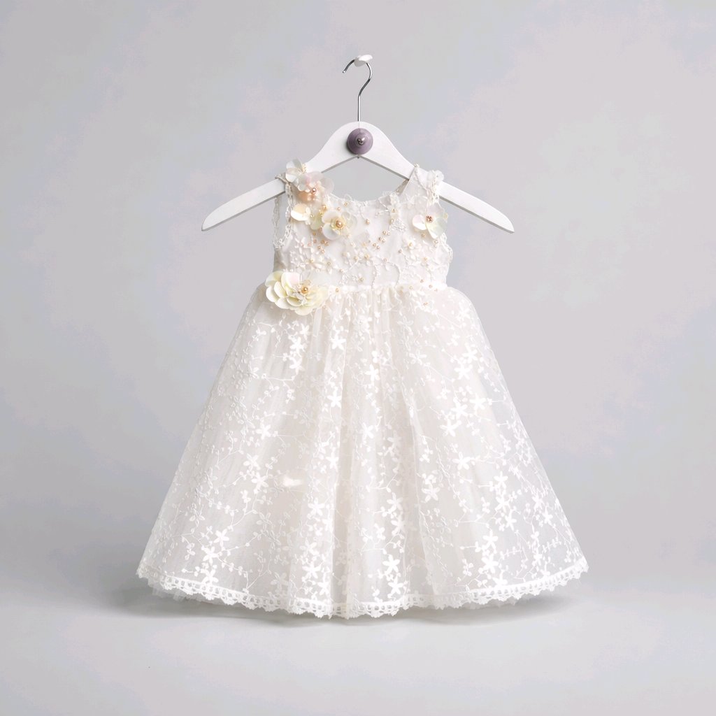 Embroidered Lace Baby Dress