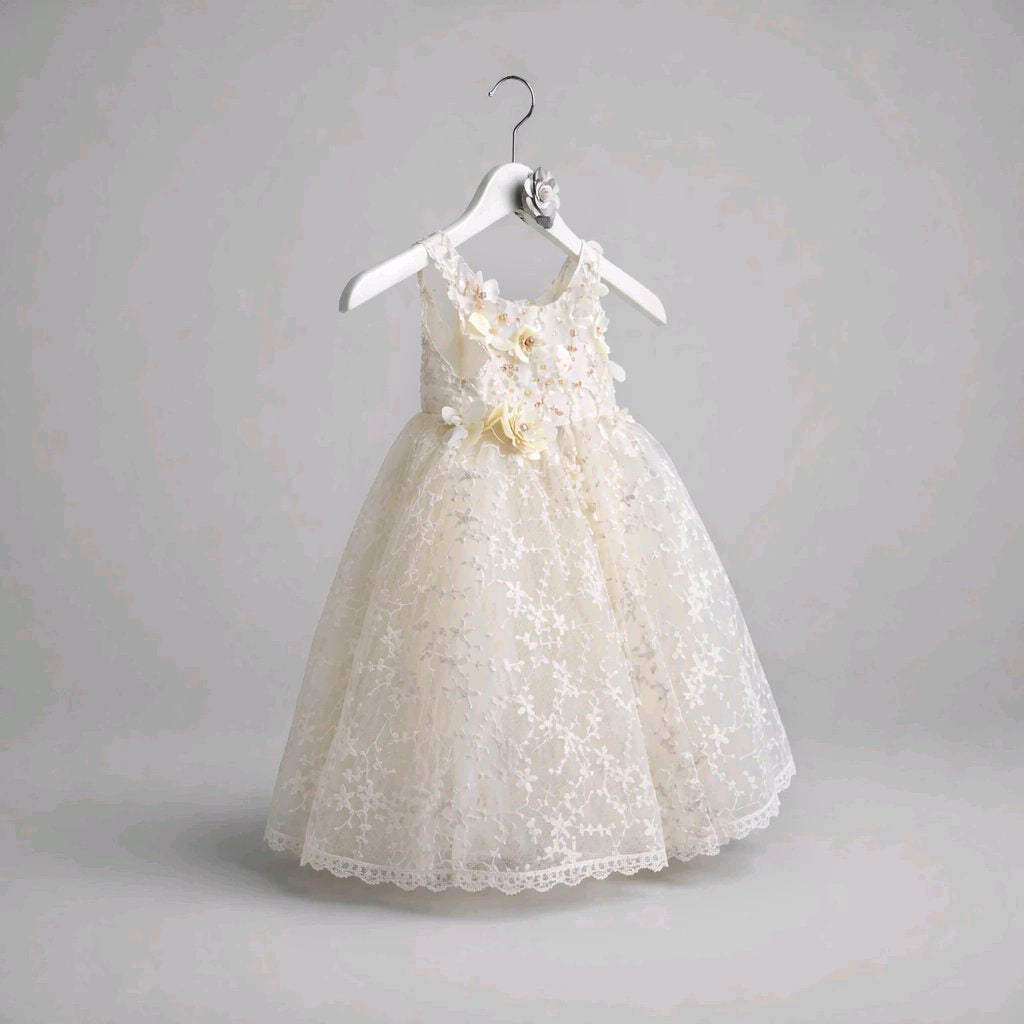 Embroidered Lace Baby Dress