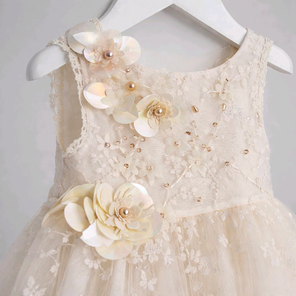 Embroidered Lace Baby Dress