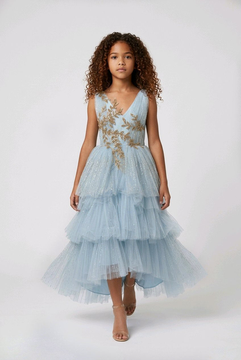 SKY BLUE EMBROIDERED FLOWERGIRL DRESS