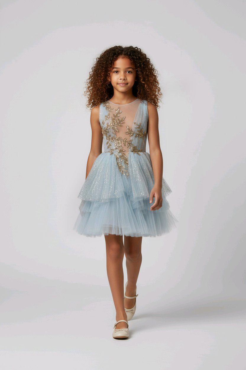 SKY BLUE EMBROIDERED FLOWERGIRL DRESS
