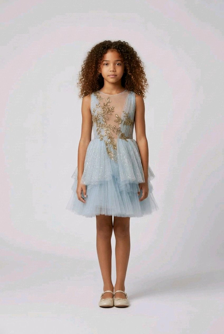 SKY BLUE EMBROIDERED FLOWERGIRL DRESS