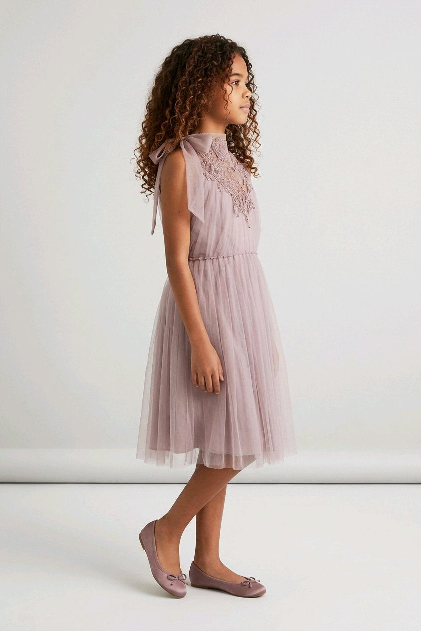A young girl is shown in profile wearing a sleeveless dusty pink tulle dress with lace detailing on the bodice and matching pink flats.