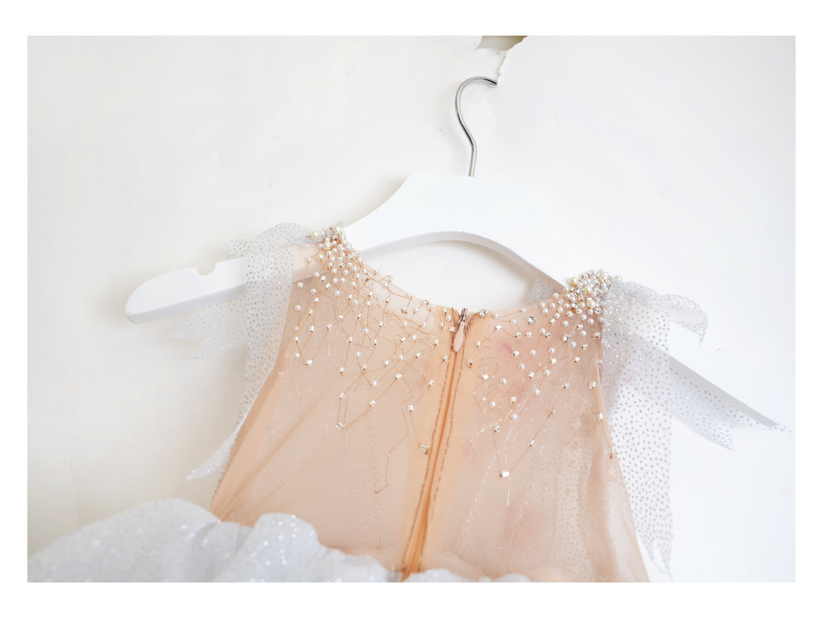 SPARKLE EMBROIDERED SILVER DRESS